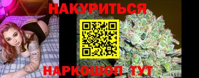 молекула духа Бердск