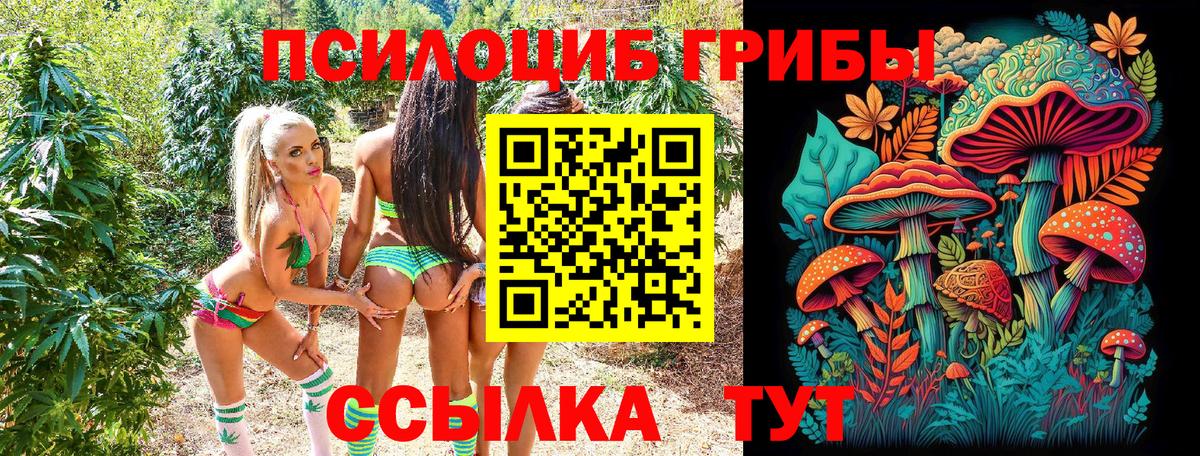 Псилоцибиновые грибы прущие грибы Нерюнгри