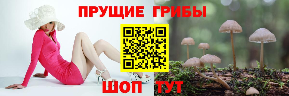 Нерюнгри  Псилоцибиновые грибы Magic Shrooms  Вход с VPN 